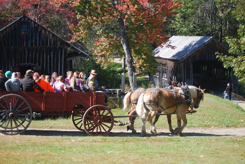 Horse-drawn wagon at Living History Days